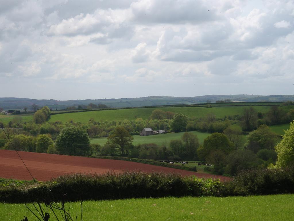 Brambles Bed And Breakfast Tiverton  Luaran gambar
