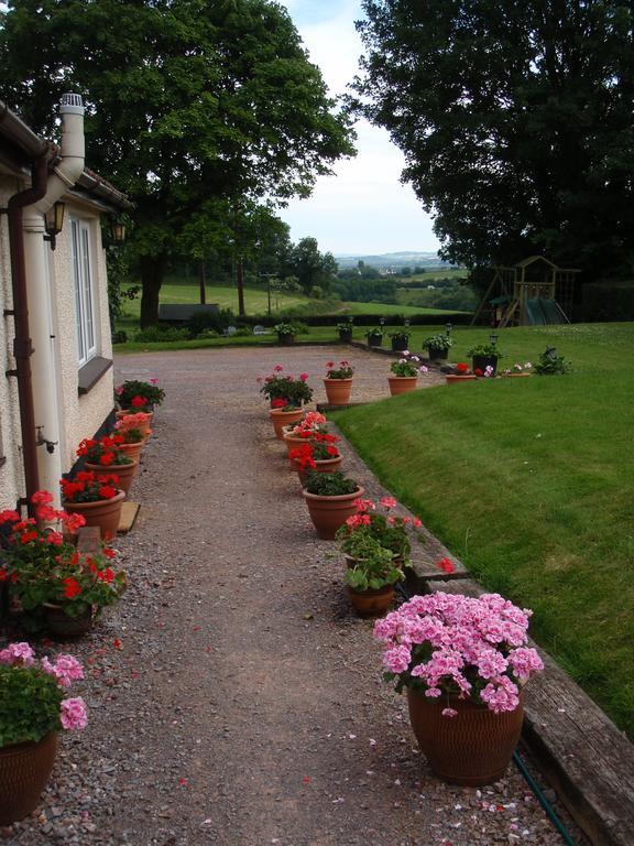 Brambles Bed And Breakfast Tiverton  Bilik gambar