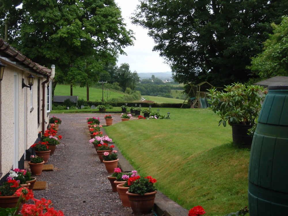 Brambles Bed And Breakfast Tiverton  Luaran gambar