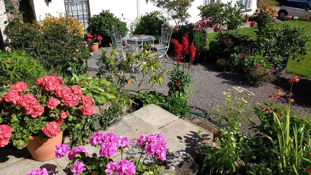 Brambles Bed And Breakfast Tiverton  Luaran gambar