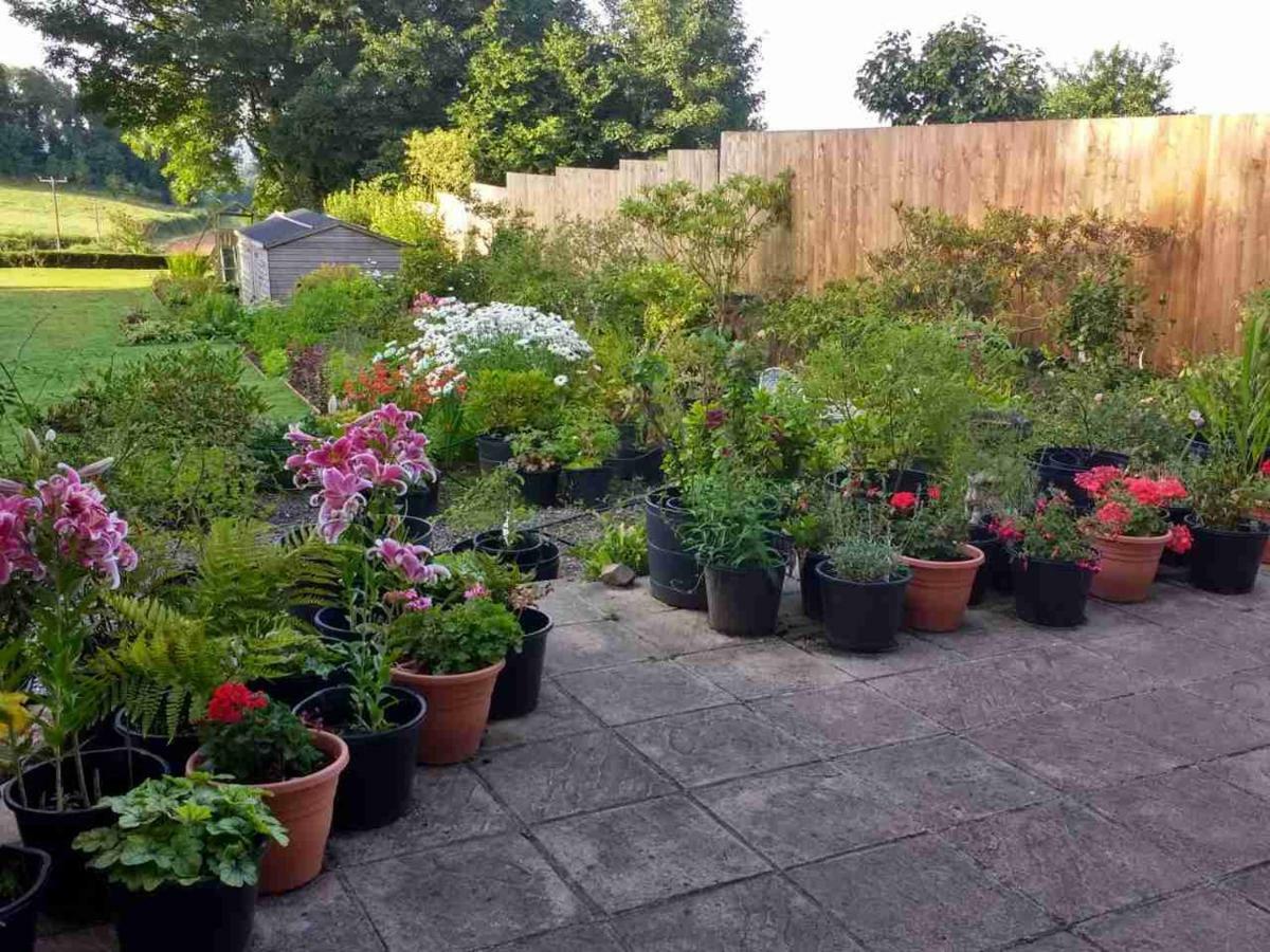 Brambles Bed And Breakfast Tiverton  Luaran gambar